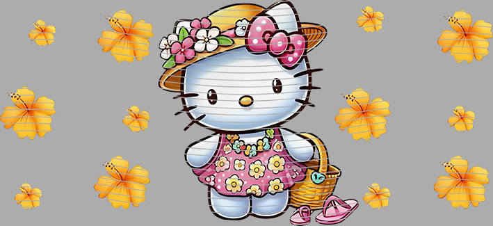 16oz Sanrio-SO-808